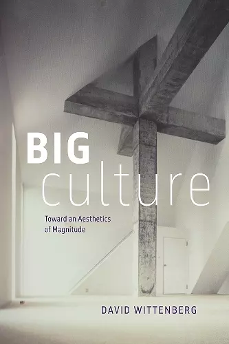 Big Culture cover