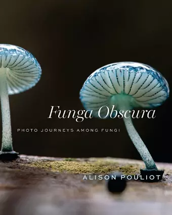 Funga Obscura cover