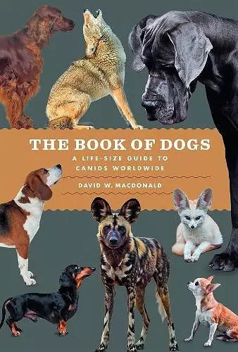 The Book of Dogs cover