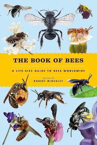 The Book of Bees cover