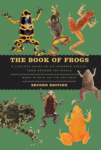 The Book of Frogs cover