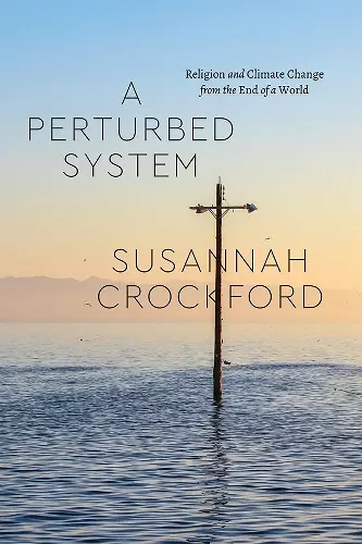 A Perturbed System cover