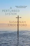 A Perturbed System cover