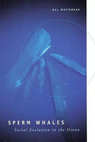 Sperm Whales cover