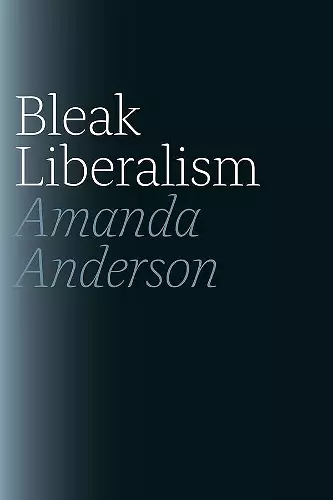 Bleak Liberalism cover