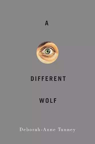 A Different Wolf cover