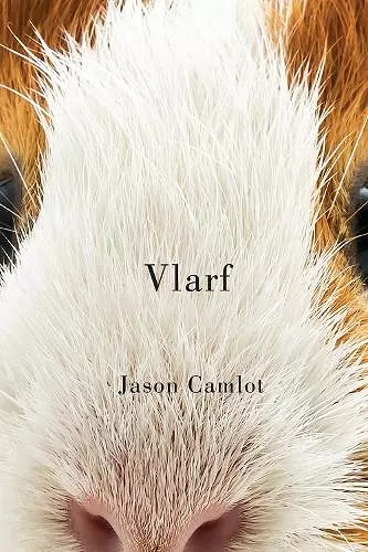 Vlarf cover