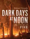 Dark Days at Noon cover
