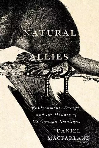 Natural Allies cover