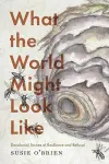 What the World Might Look Like cover