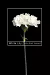 White Lily cover