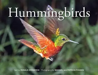 Hummingbirds cover