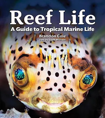 Reef Life cover