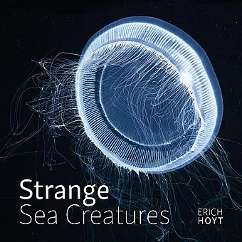Strange Sea Creatures cover