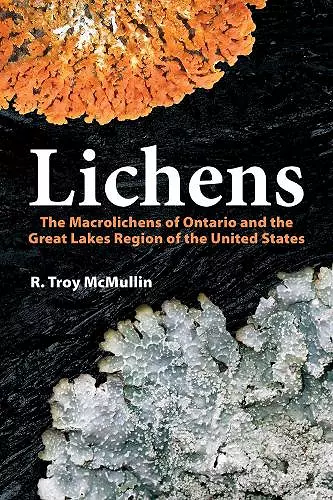 Lichens cover