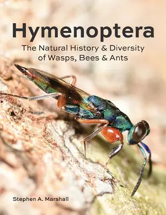 Hymenoptera cover