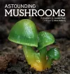 Astounding Mushrooms cover