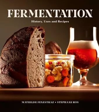 Fermentation cover