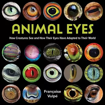 Animal Eyes cover