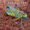 Hyper Nature cover