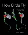 How Birds Fly cover