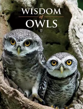 Wisdom of Owls cover