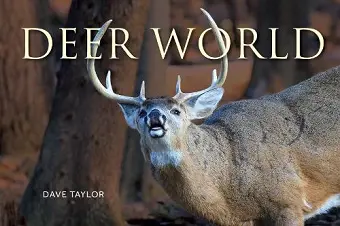 Deer World cover