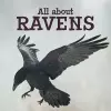 All about Ravens cover