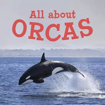 All about Orcas cover