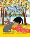 The Adventures of Vylette Bunny and Michie cover