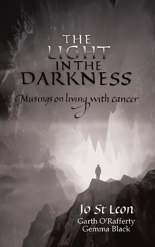 The Light in the Darkness cover