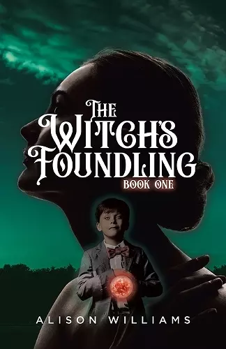 The Witch's Foundling cover