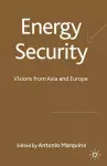 Energy Security cover