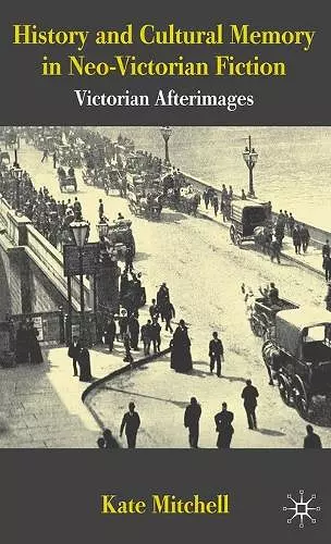 History and Cultural Memory in Neo-Victorian Fiction cover
