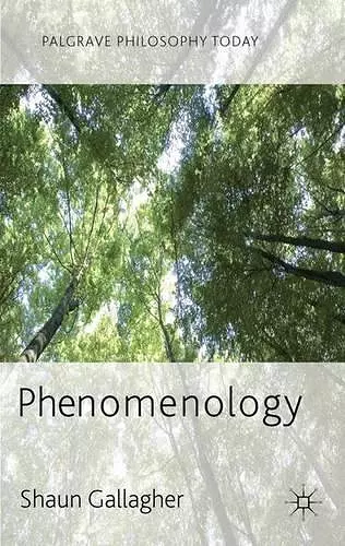 Phenomenology cover