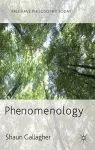 Phenomenology cover