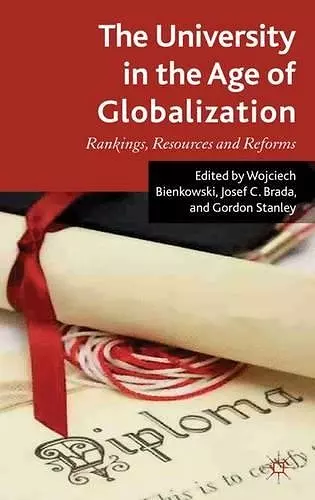 The University in the Age of Globalization cover