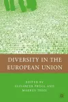 Diversity in the European Union cover