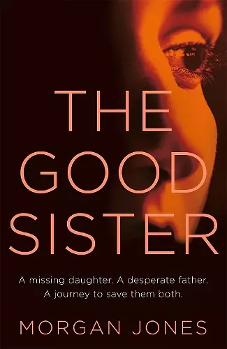 The Good Sister cover