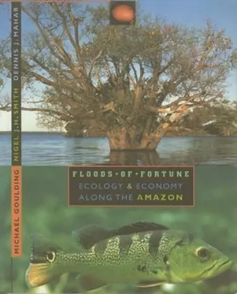 Floods of Fortune cover