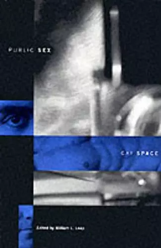 Public Sex/Gay Space cover