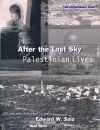 After the Last Sky cover