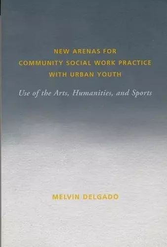 New Arenas for Community Social Work Practice with Urban Youth cover