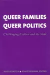 Queer Families, Queer Politics cover