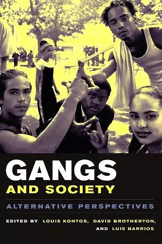 Gangs and Society cover