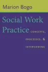 Social Work Practice cover