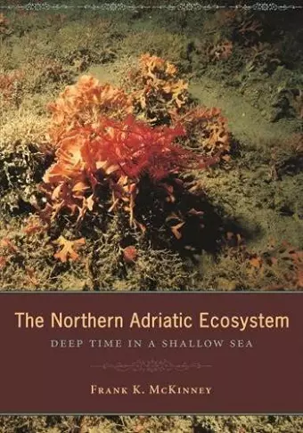 The Northern Adriatic Ecosystem cover