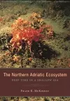 The Northern Adriatic Ecosystem cover