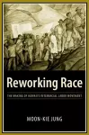 Reworking Race cover