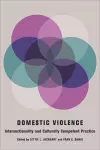 Domestic Violence cover